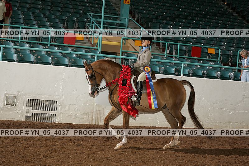 Proof Number yn_05_4037