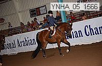 Proof Number ynha_05_1570