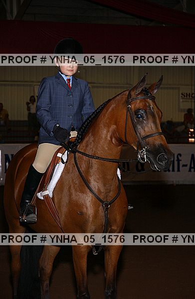 Proof Number ynha_05_1576