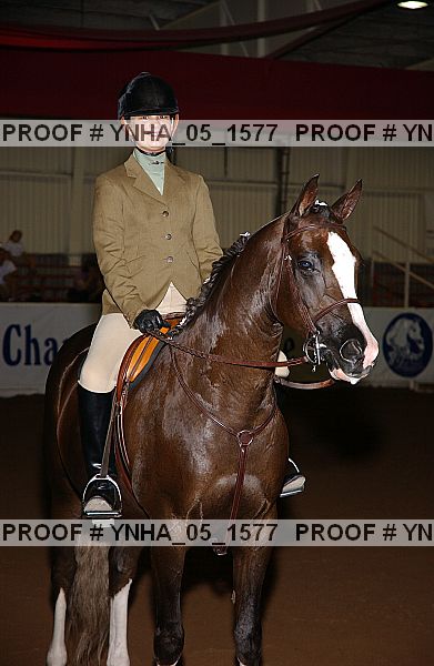 Proof Number ynha_05_1577