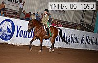 Proof Number ynha_05_1593