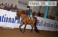 Proof Number ynha_05_1636