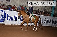 Proof Number ynha_05_1640
