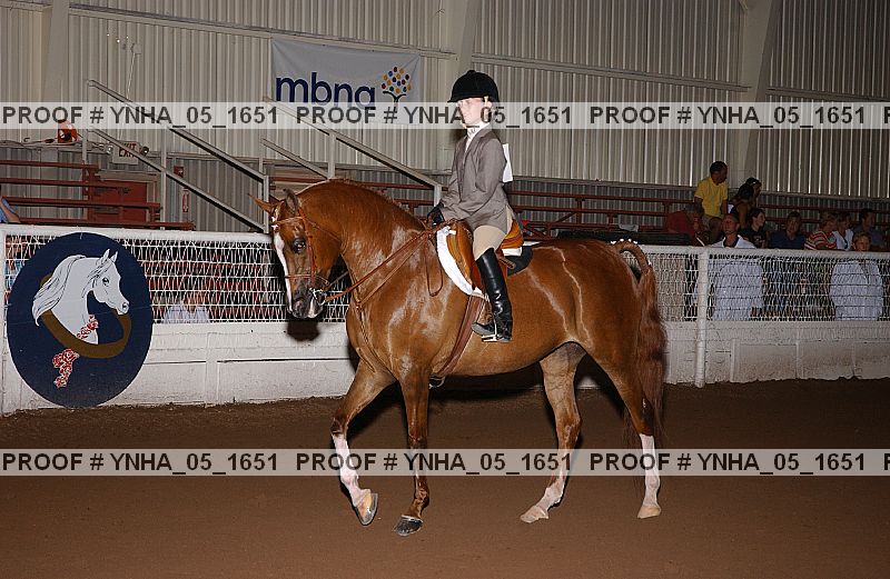Proof Number ynha_05_1651