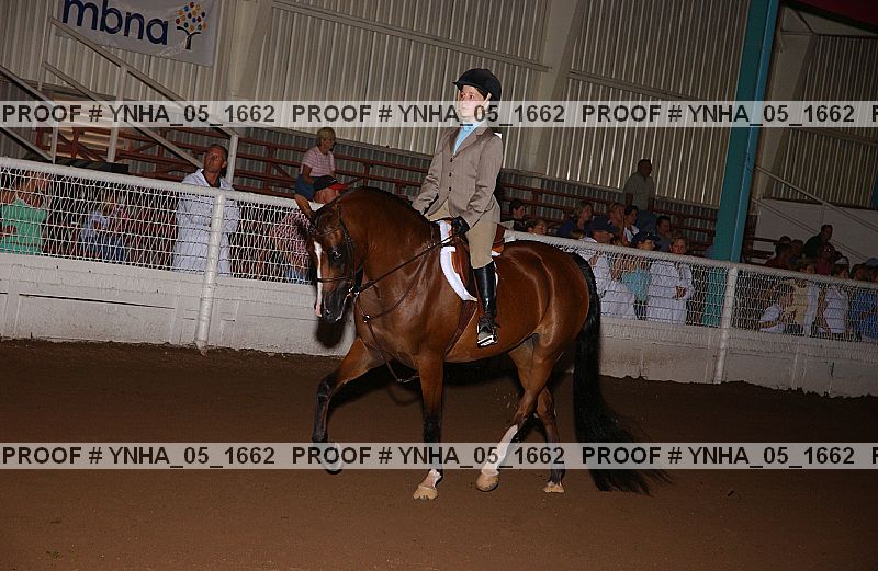 Proof Number ynha_05_1662