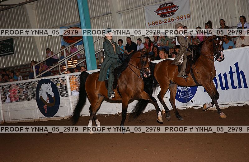 Proof Number ynha_05_2979