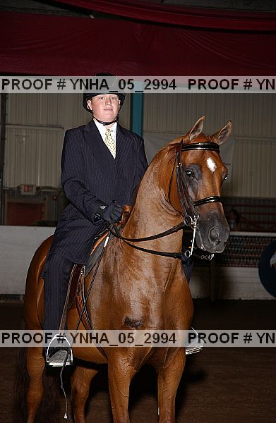 Proof Number ynha_05_2994