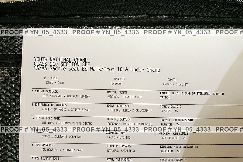 Proof Number yn_05_4333