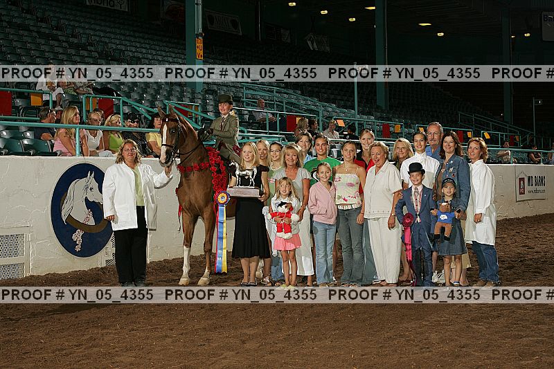 Proof Number yn_05_4355