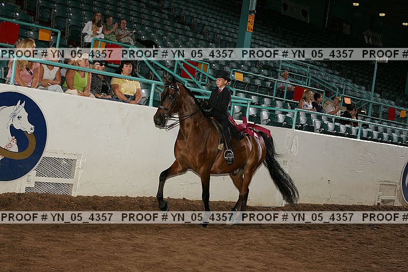 Proof Number yn_05_4357