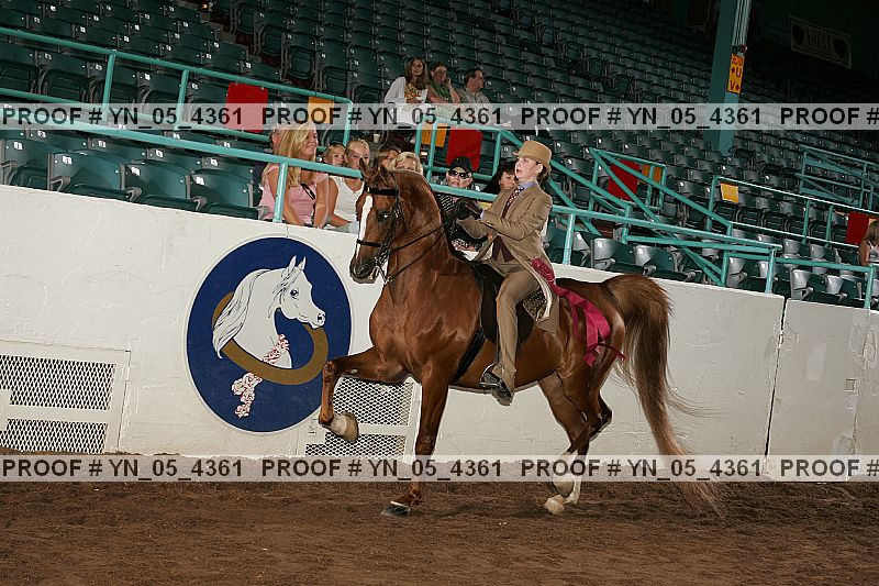 Proof Number yn_05_4361