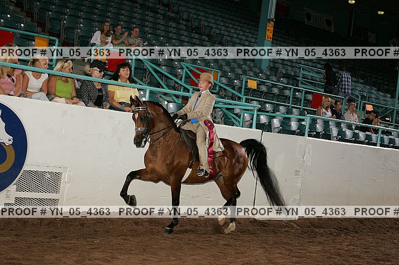 Proof Number yn_05_4363