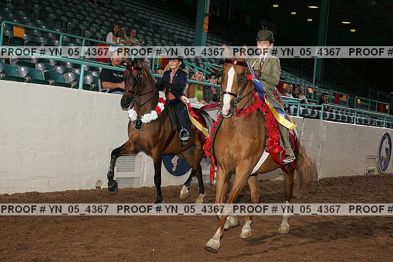 Proof Number yn_05_4367