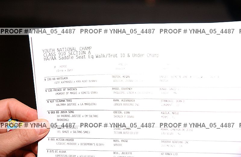 Proof Number ynha_05_4487