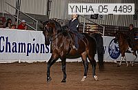 Proof Number ynha_05_4489