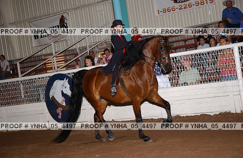 Proof Number ynha_05_4497