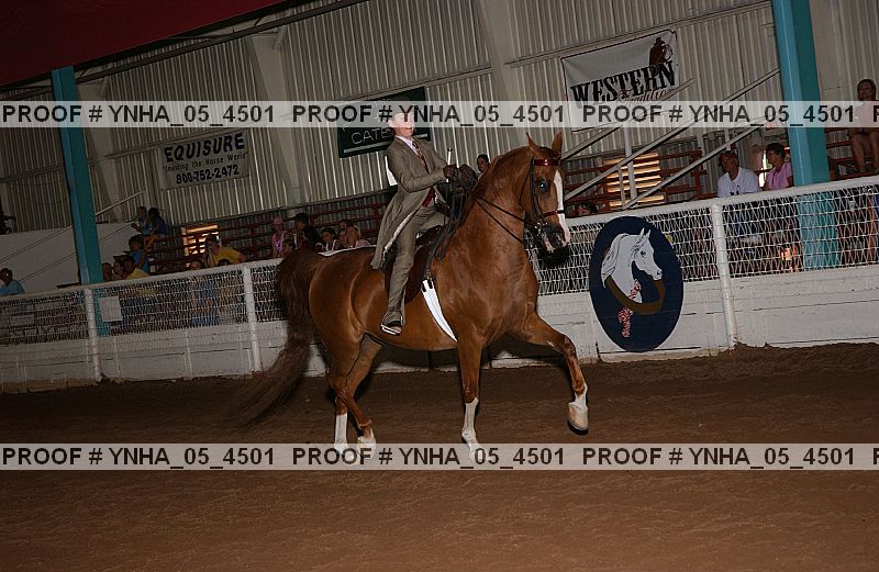 Proof Number ynha_05_4501