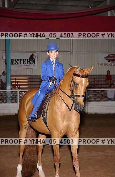 Proof Number ynha_05_4503
