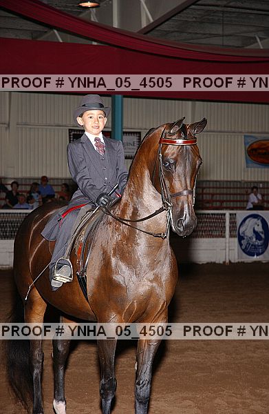 Proof Number ynha_05_4505