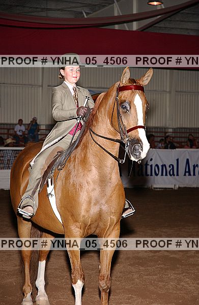 Proof Number ynha_05_4506