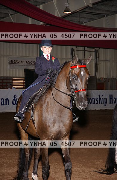 Proof Number ynha_05_4507