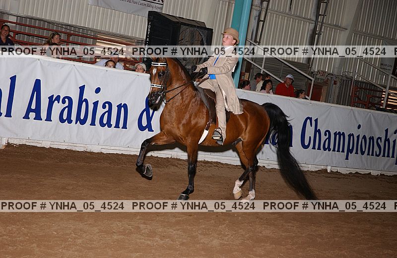 Proof Number ynha_05_4524