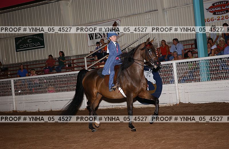 Proof Number ynha_05_4527