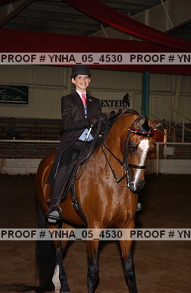 Proof Number ynha_05_4530