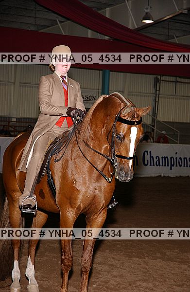 Proof Number ynha_05_4534