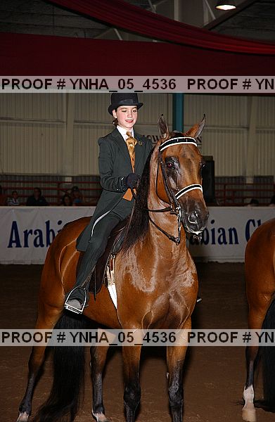 Proof Number ynha_05_4536