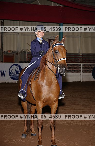 Proof Number ynha_05_4539