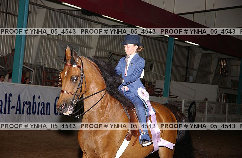 Proof Number ynha_05_4543