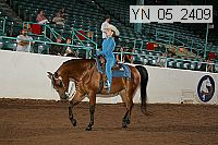 Proof Number yn_05_2409