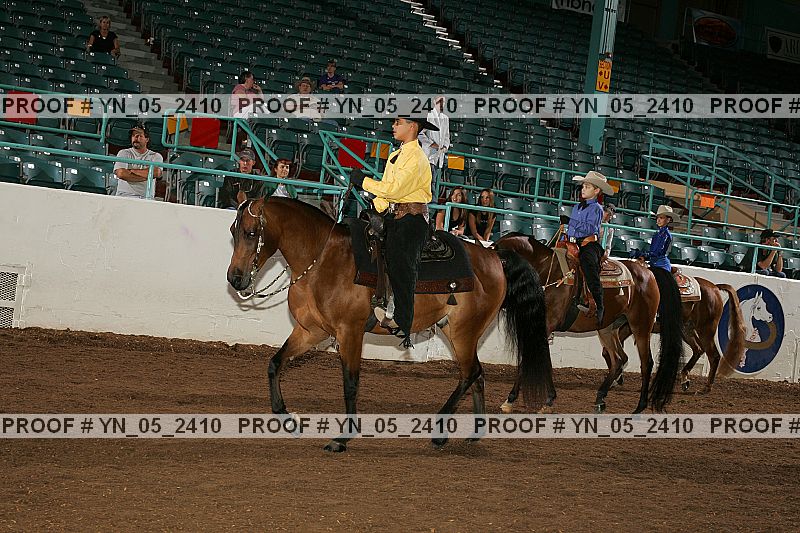 Proof Number yn_05_2410