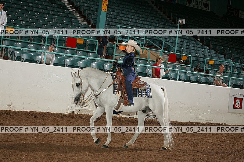 Proof Number yn_05_2411