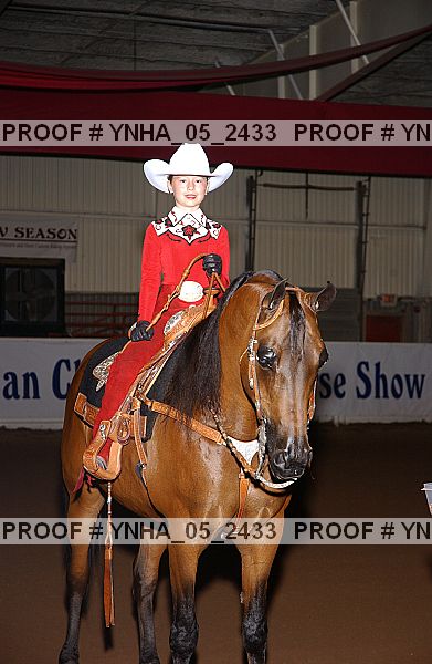 Proof Number ynha_05_2433