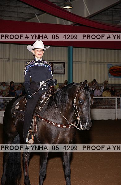 Proof Number ynha_05_4299