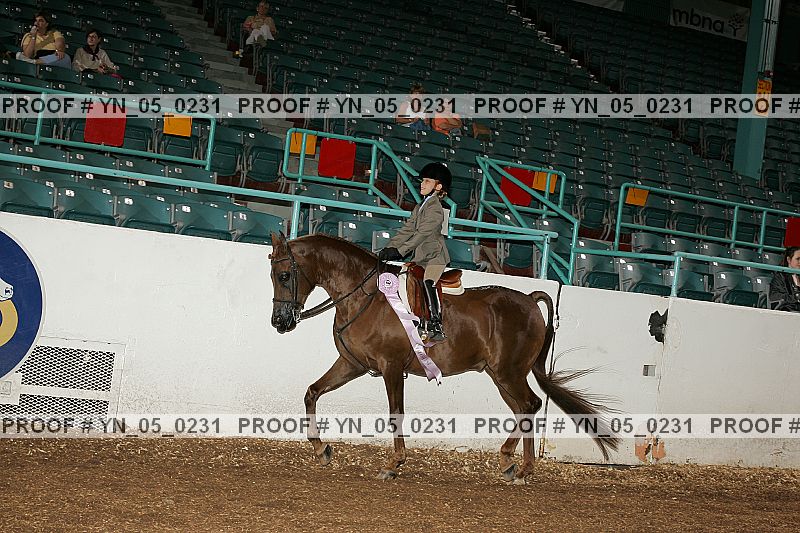Proof Number yn_05_0231