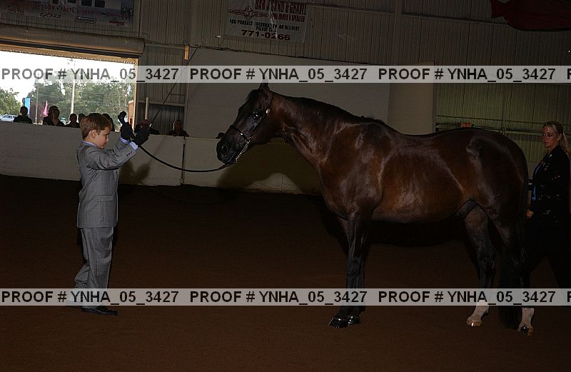 Proof Number ynha_05_3427