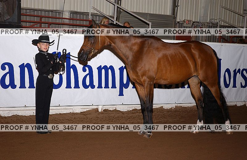 Proof Number ynha_05_3467