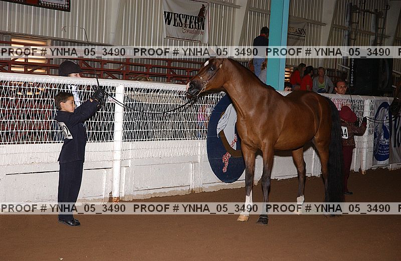 Proof Number ynha_05_3490