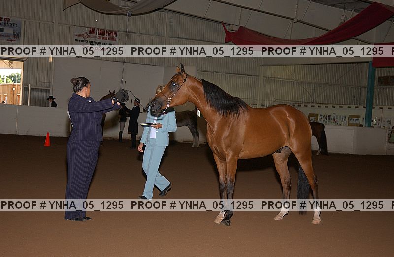 Proof Number ynha_05_1295