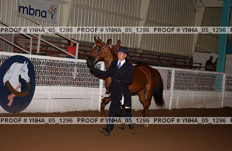 Proof Number ynha_05_1296