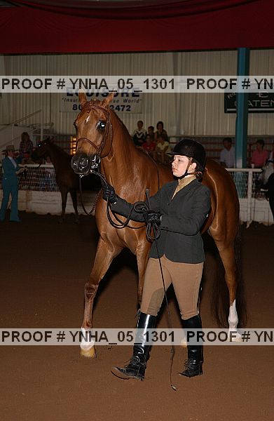 Proof Number ynha_05_1301
