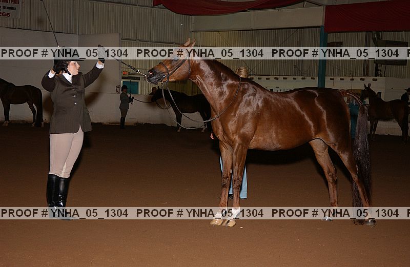 Proof Number ynha_05_1304