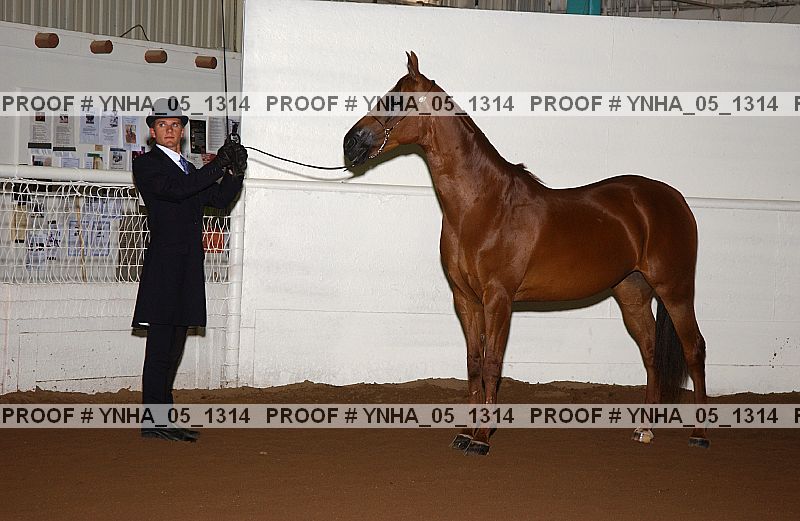 Proof Number ynha_05_1314