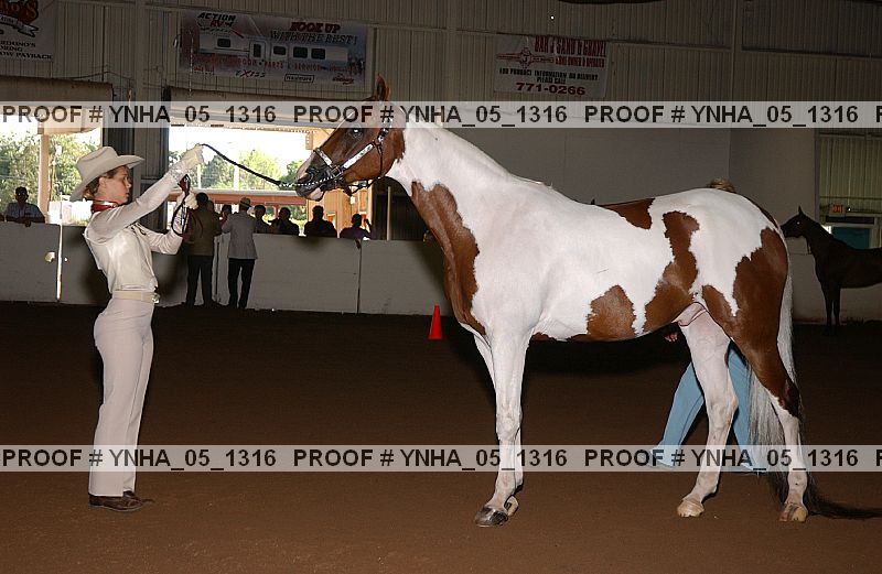 Proof Number ynha_05_1316