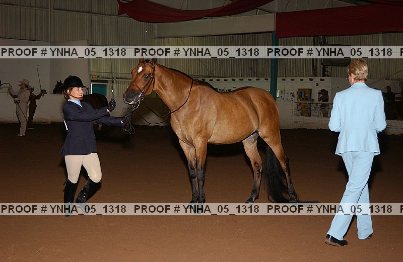 Proof Number ynha_05_1318