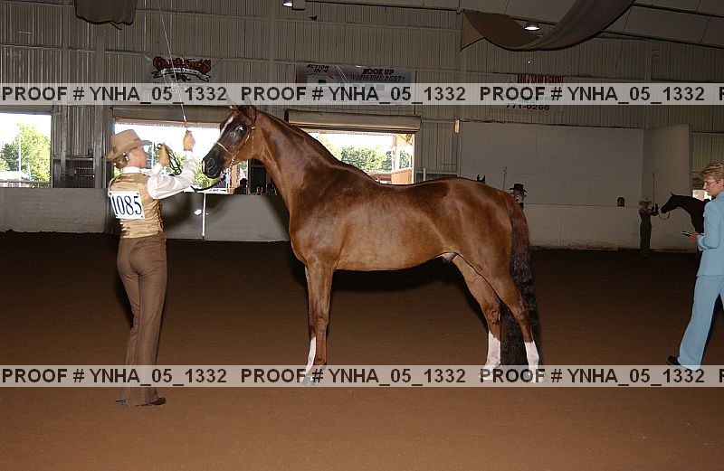 Proof Number ynha_05_1332