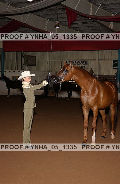 Proof Number ynha_05_1335